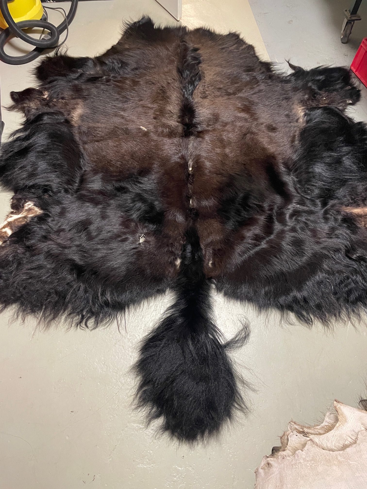Chromfrei gegerbtes Yak mit Schwanz mit Loch und Schnitt – schwarz – 180 x 200 cm - Nr 91